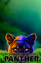 Prowling Panther