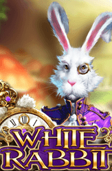 White Rabbit